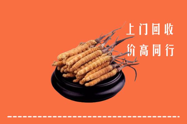 高价求购：丹徒区回收散虫草