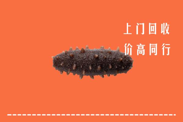 高价求购：丹徒区回收海参