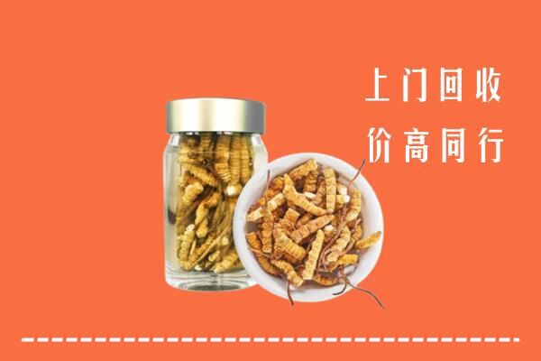 丹徒区回收冬虫夏草