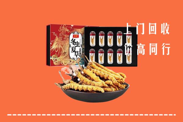 丹徒区回收虫草